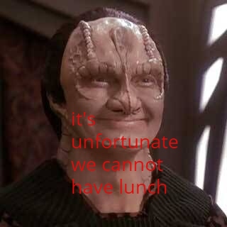 This meme features a screenshot from the TV show Star Trek: The Next Generation, specifically a character known as the Borg Queen. The image shows her with a neutral expression, but the text overlaid on top of her face reads "It's not a good time for a picnic" and "It's not a good time for a picnic" is crossed out, replaced with "It's not a good time for lunch".